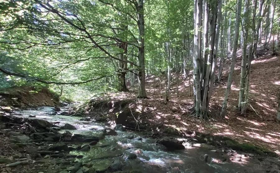 Vanzare 1266 mp teren superb Cheile Rasnoavei la munte langa padure si pensiuni - 11