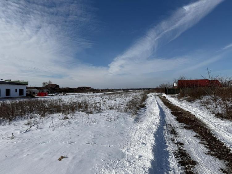 Domnesti Vand teren in Domnesti - 4