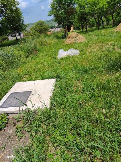 Teren de vanzare - 1
