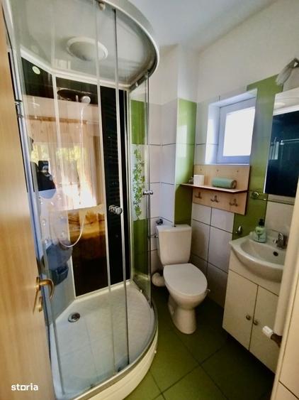 Casa P+1+M in Vladesti 5 Dormitoare, 5 Bai, 274 mp, Zona Linistita - 7