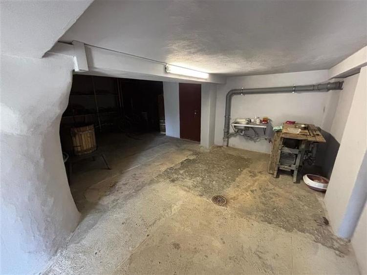 VILA DEOSEBITA IN SLATINA - LUNCANI - OAZA DE LINISTE LA MARGINEA PADURII - 23