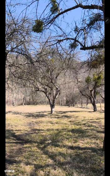 Teren intravilan, 2848 MP, Arghisu - 9