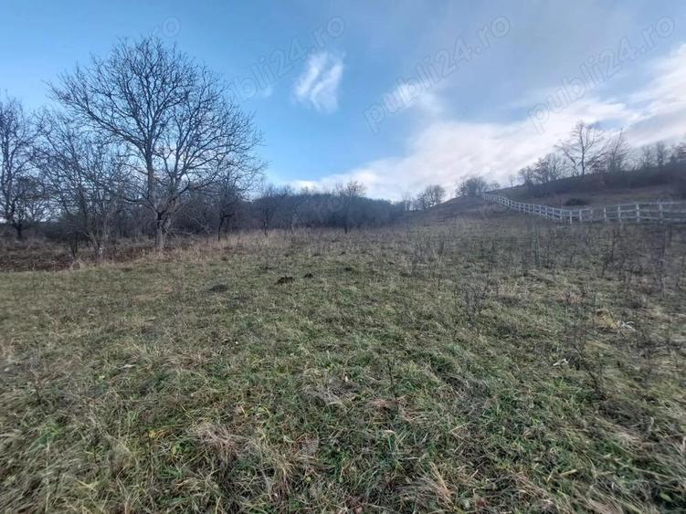 Casa de vanzare la Presaca - 5