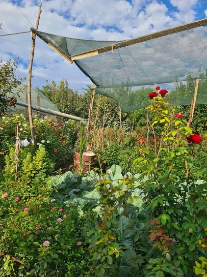 Vand Casa In Sendreni! - 1