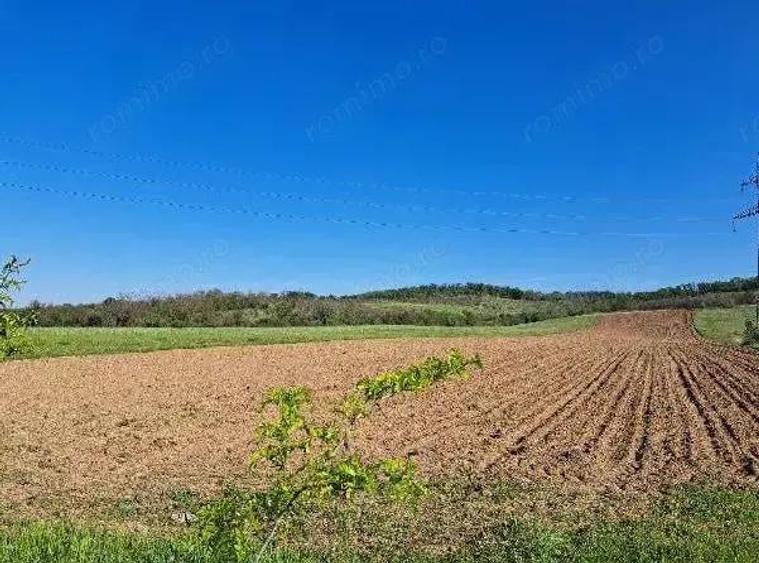 Cota de 1/2 din teren extravilan, comuna Rogova, Jud Mehedinti CP2549956 - 1