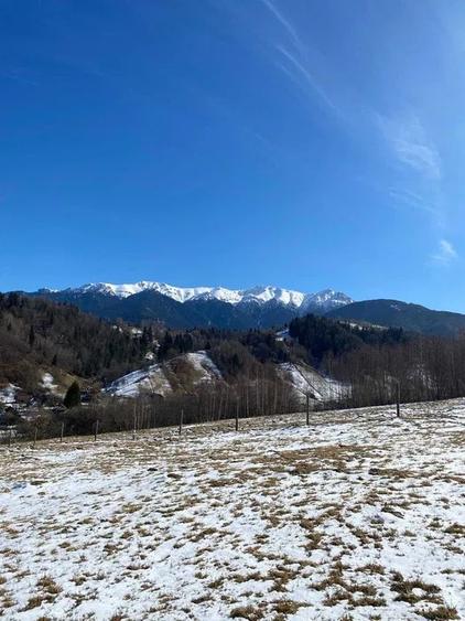 PROPRIETAR - 3274 mp intravilan Simon (BRAN) - 2