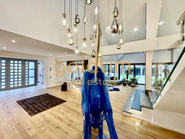 UNICA/ABSOLUT SUPERBA/ VILA INDIVIDUALA/IANCU NICOLAE/CURTE GENEROASA - 42