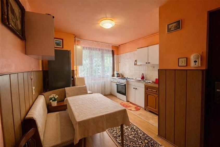 Apartament cu potential,areal verde, panorama,terasa,zona A,Tudor,Targu Mures - 3