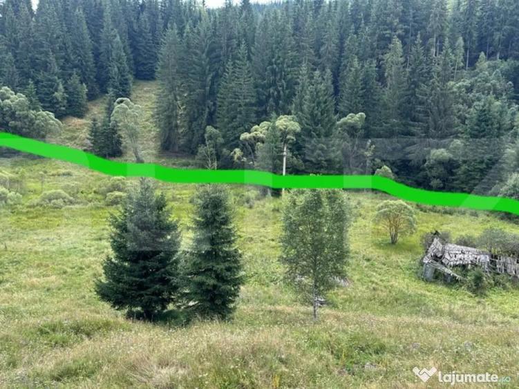 Teren intravilan de vanzare, 6941 mp, zona Mestecani? - 4