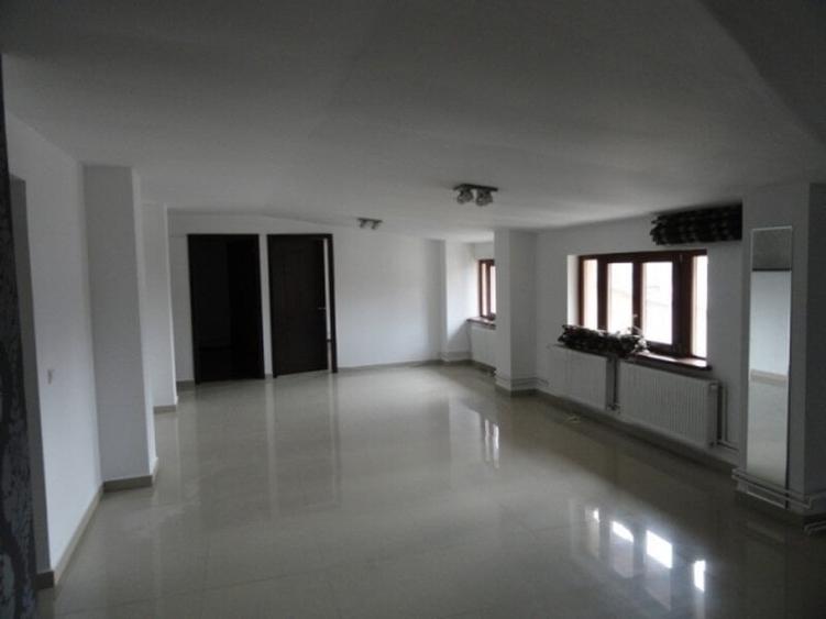 Vila Interbelica in stil Baroc | Unirii / Budapesta | Oportunitate Investitie - 16