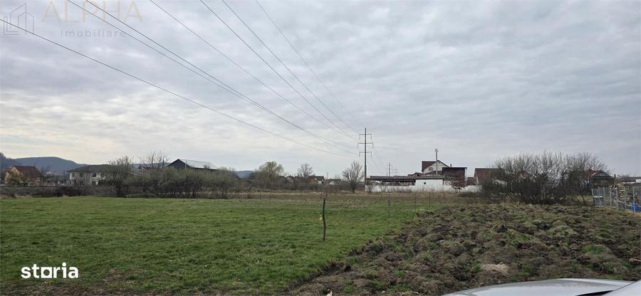 Teren intravilan 2500 mp - Unirea, Str. Platanilor - 2