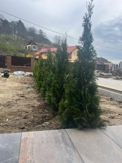 De vanzare casa noua finalizat in 2023 in Livezeni  5 camere+ living 4 bai - 1