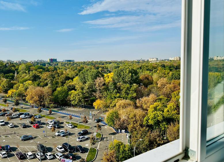 Tineretului parc - 19