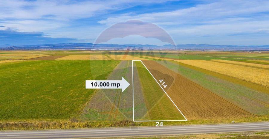 Teren 10,000mp Tarlungeni - 5