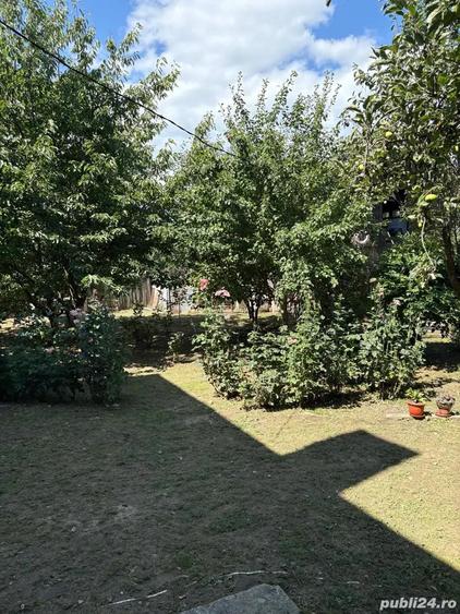 Vila S+P+E+M, la 3 km de Calimanesti - 4