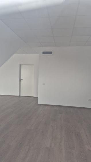 Spatiu depozitare si productie Soseaua de centrua Chitila - 17