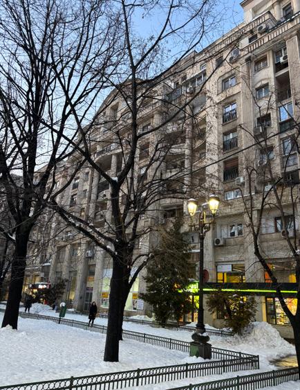 Ultracentral,fix la FANTANA MARE,panorama superba,monolit,stradal pe Bulevard - 3