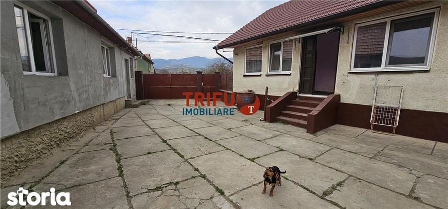 Doua locuin?e, un singur loc perfect pentru via?a la ?ara in Ighiu - 19