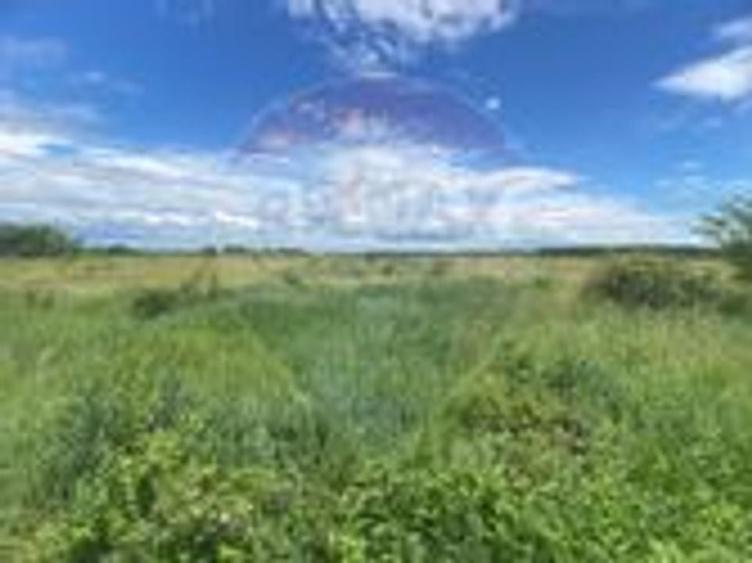 DE VANZARE Teren intravilan 600mp Drumul Piscul Mosului SISESTI - 18