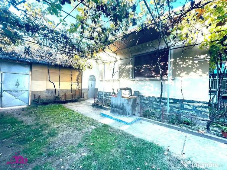 Casa 6 camere Finis - 13