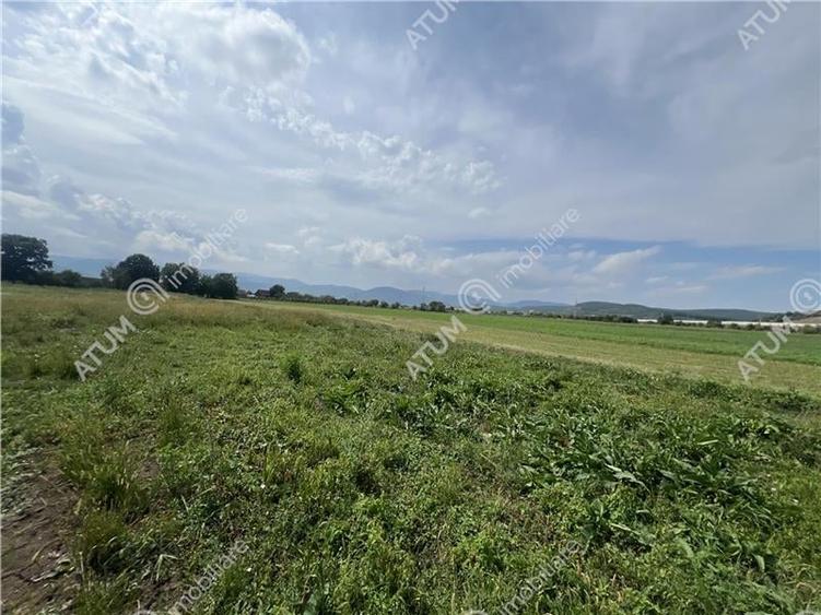 Teren intravilan de 8600 mp cu deschidere la doua drumuri in Cristian - 4