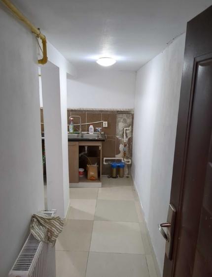 Colentina Parcul Plumbuita, Sector 2 București.  - 4