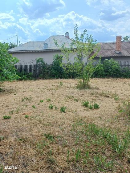 6 parcele intravilane de 485 mp in Mihai Voda, Bolintin Deal, Giurgiu - 1