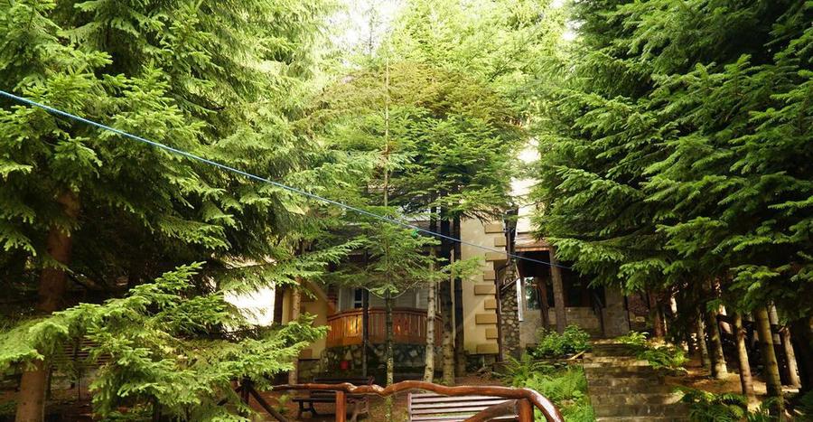 DE VANZARE Pensiune | 12 camere | Bisoca / Buzau - 11