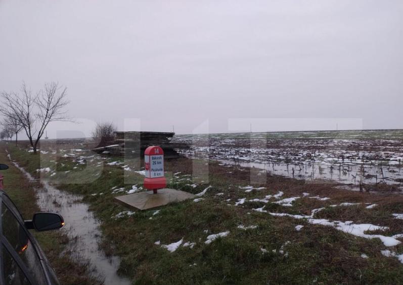 Teren intravilan stradal 17000 mp, toate utilita?ile - 2