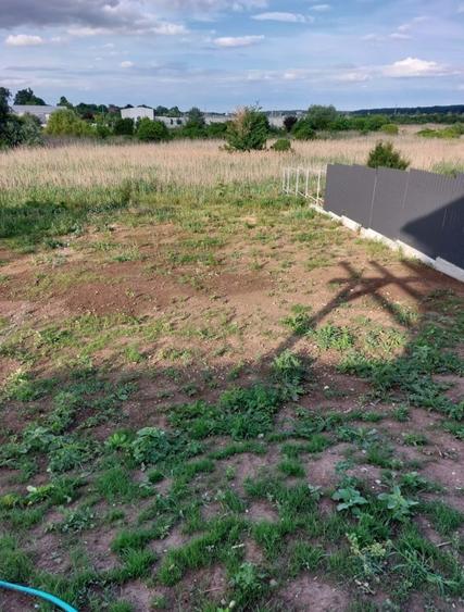 Teren intravilan Buftea cu utilitati - 2