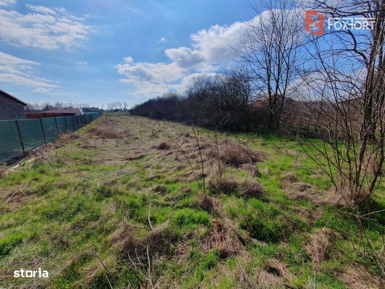 Teren intravilan de 1952 mp cu utilitati - zona Parta - 7