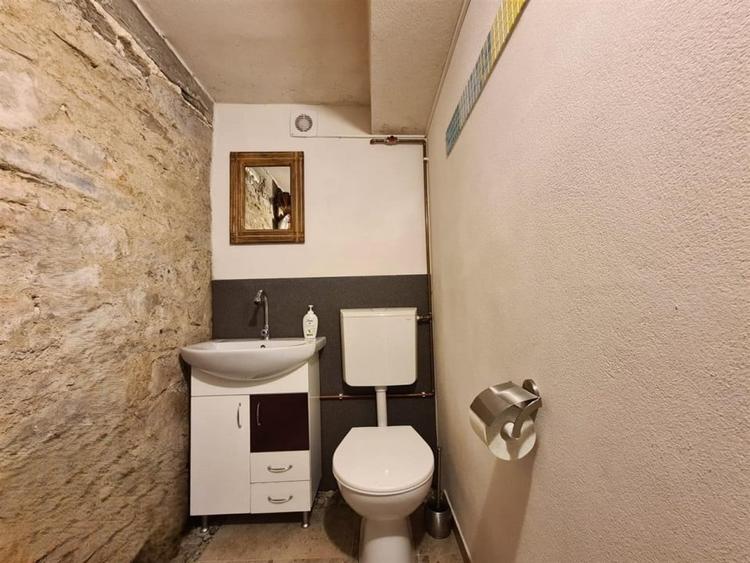 Casa deosebita \ vanzare \ Marginimea Sibiului \ Fantanele - 11