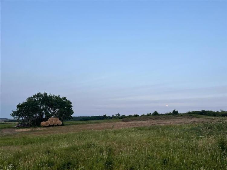 RECO Teren in Paleu 903 mp, acces rapid din Saldabagiu de Munte - 12