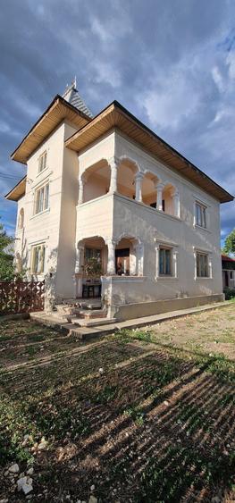 Vand casa la tara cu livada - 2