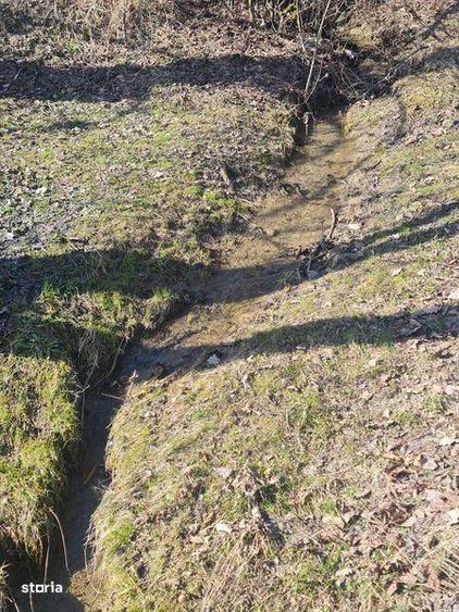 Teren ideal pt cabana , picnic sau casuta de vacanta la 8 km - 4