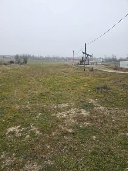 Teren Priseaca/Dragomiresti - 6