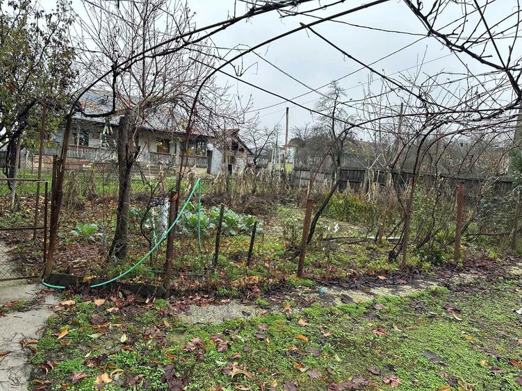 Casa de vanzare comuna maciuca - 3