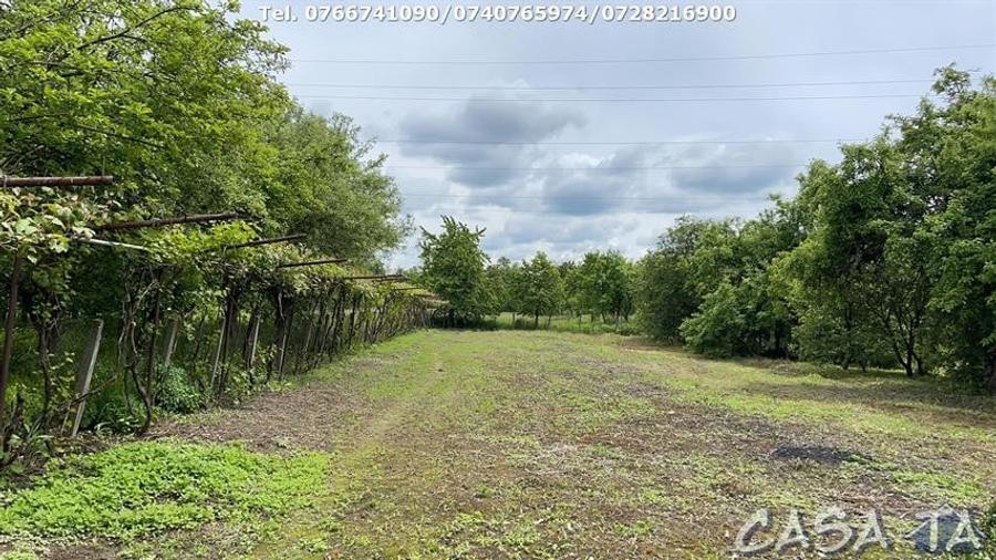 Casa 4 Camere + Teren (6500mp) si Anexe, Turcinesti - 7