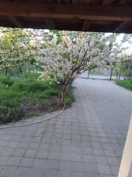 Închiriez casa la asfalt cu 1400m teren - 2