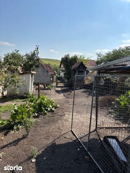 Casa la tara pt renovare - 5