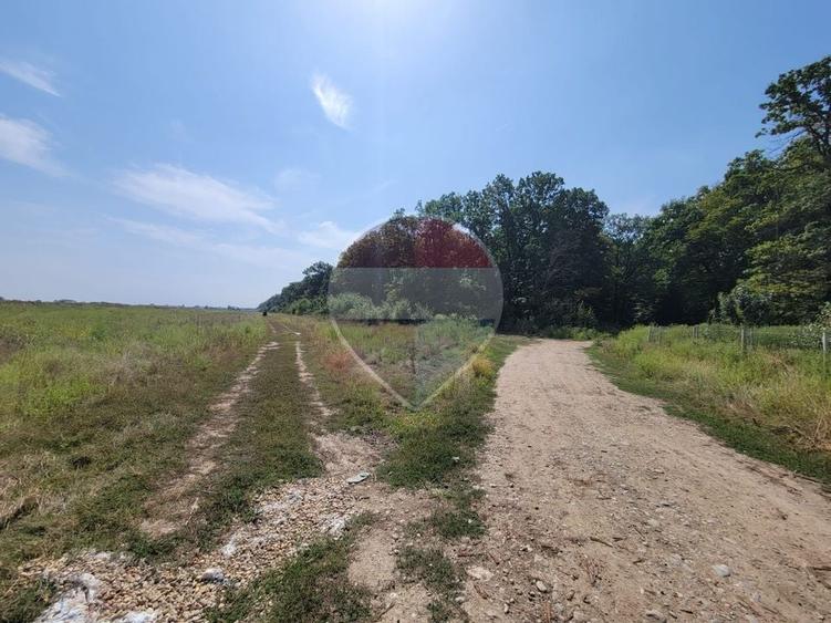 Teren Construcții intravilan de 988 mp, în Cocani