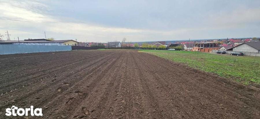 Vand Teren in Sendreni - 8