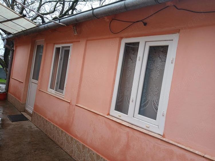 Vand sau schimb cu apartament cu 2 camere plus diferenta,casa in sat Albina comuna Tichilesti - 4