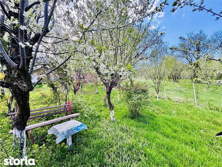 Casa individuala de vanzare in Nucet | Rosia | teren 747 mp | livada, - 5