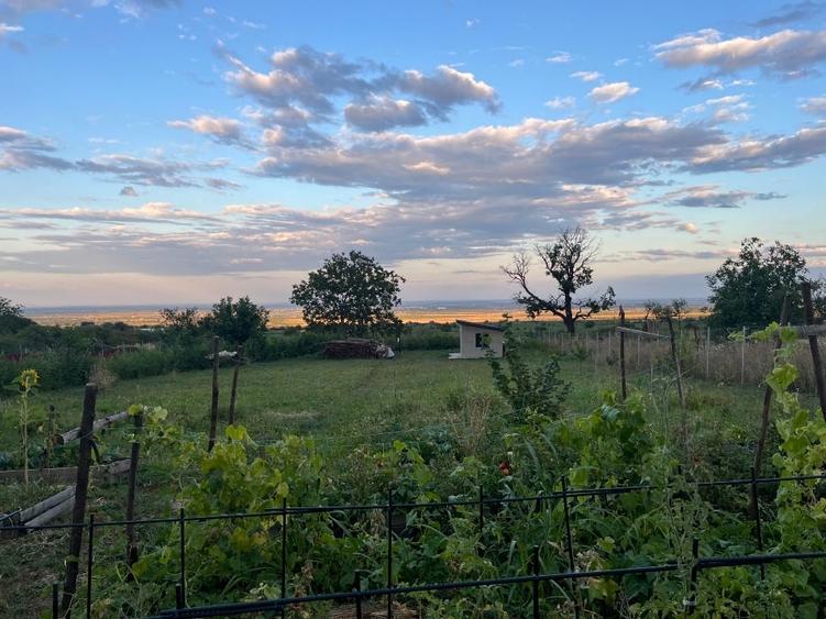 Teren intravilan negociabil pe Strada Principală Faraoanele | asfalt + utilități - 2