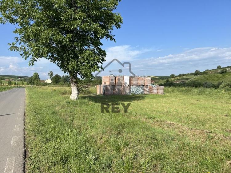 Teren HALA de vanzare iesirea din Sura Mare spre Hamba. - 1