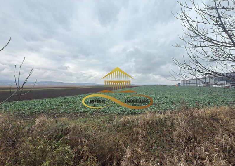 Teren industrial de vanzare in Bacau zona RAR - 12