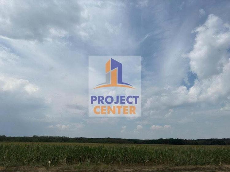 Teren extravilan Albota - 1