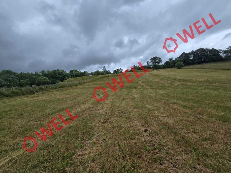 De vânzare teren extravilan loc. Sărămaș, com. Barcani - 5