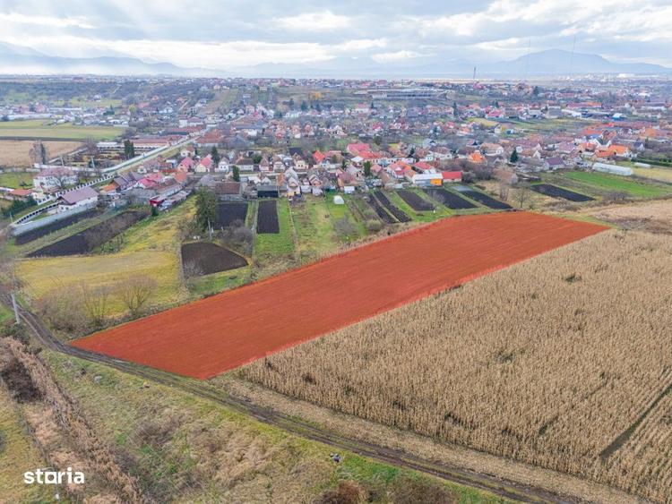 Teren extravilan Bod, 10.000 mp, acces DE 290, zona spre Harman - 1